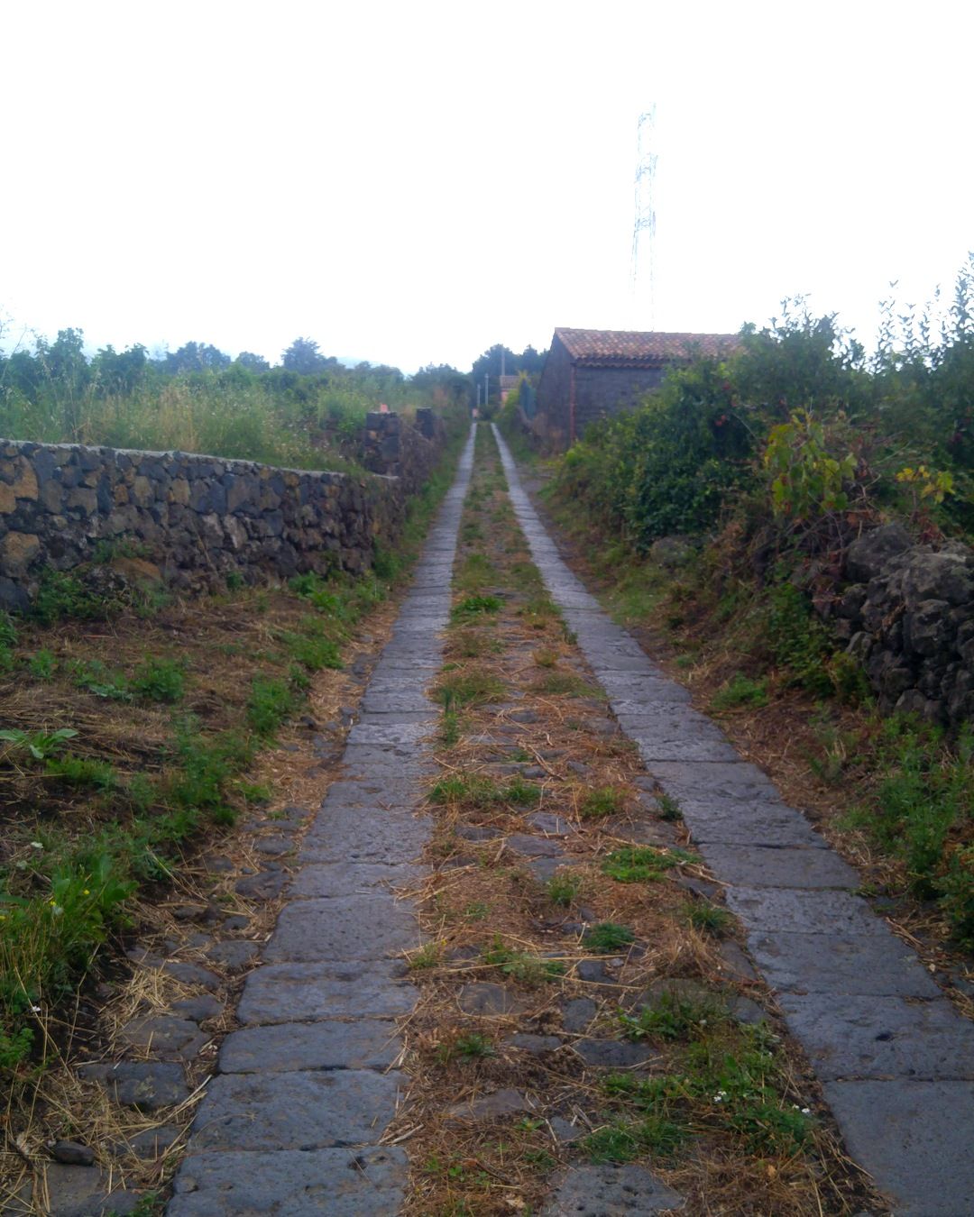 La carrettiera che porta a Felcerossa. Agosto 2018.
